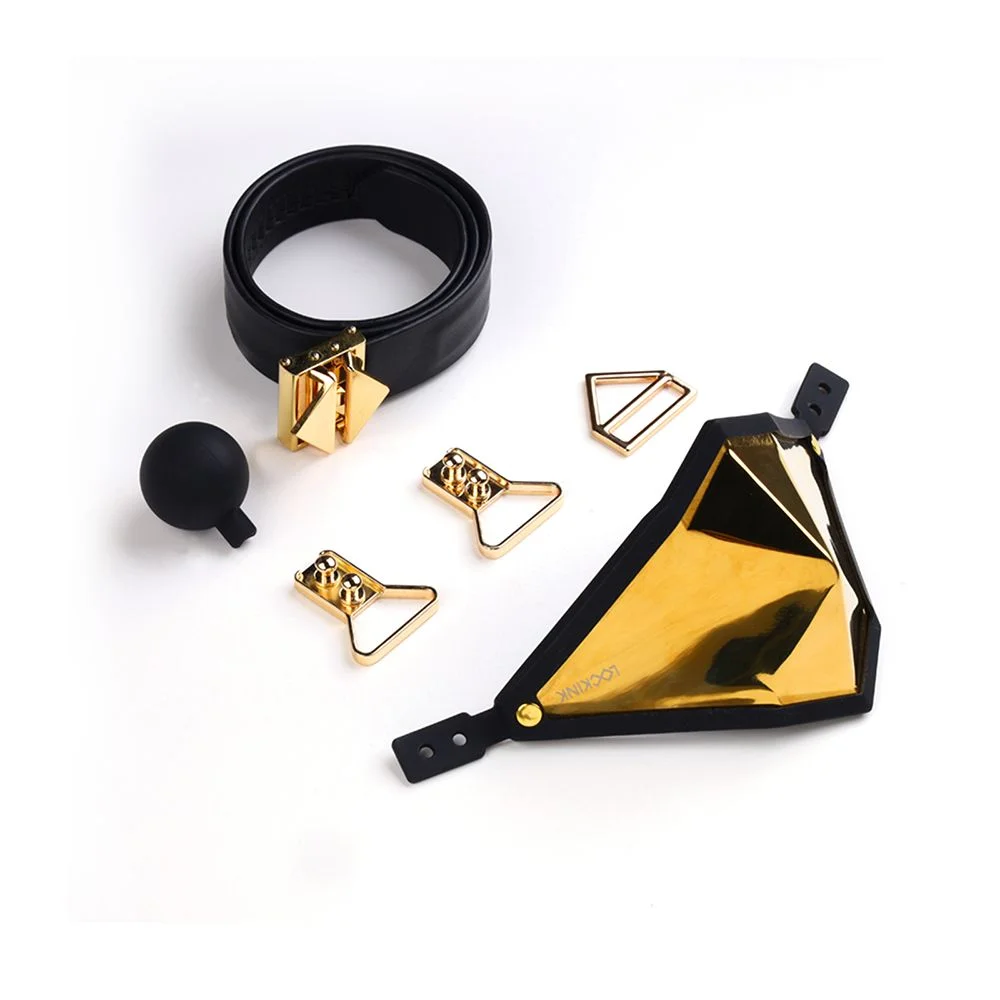 LOCKINK - Gouden Punker Muilkorf Gag Set LOCKINK - Gouden Punker Muilkorf Gag Set